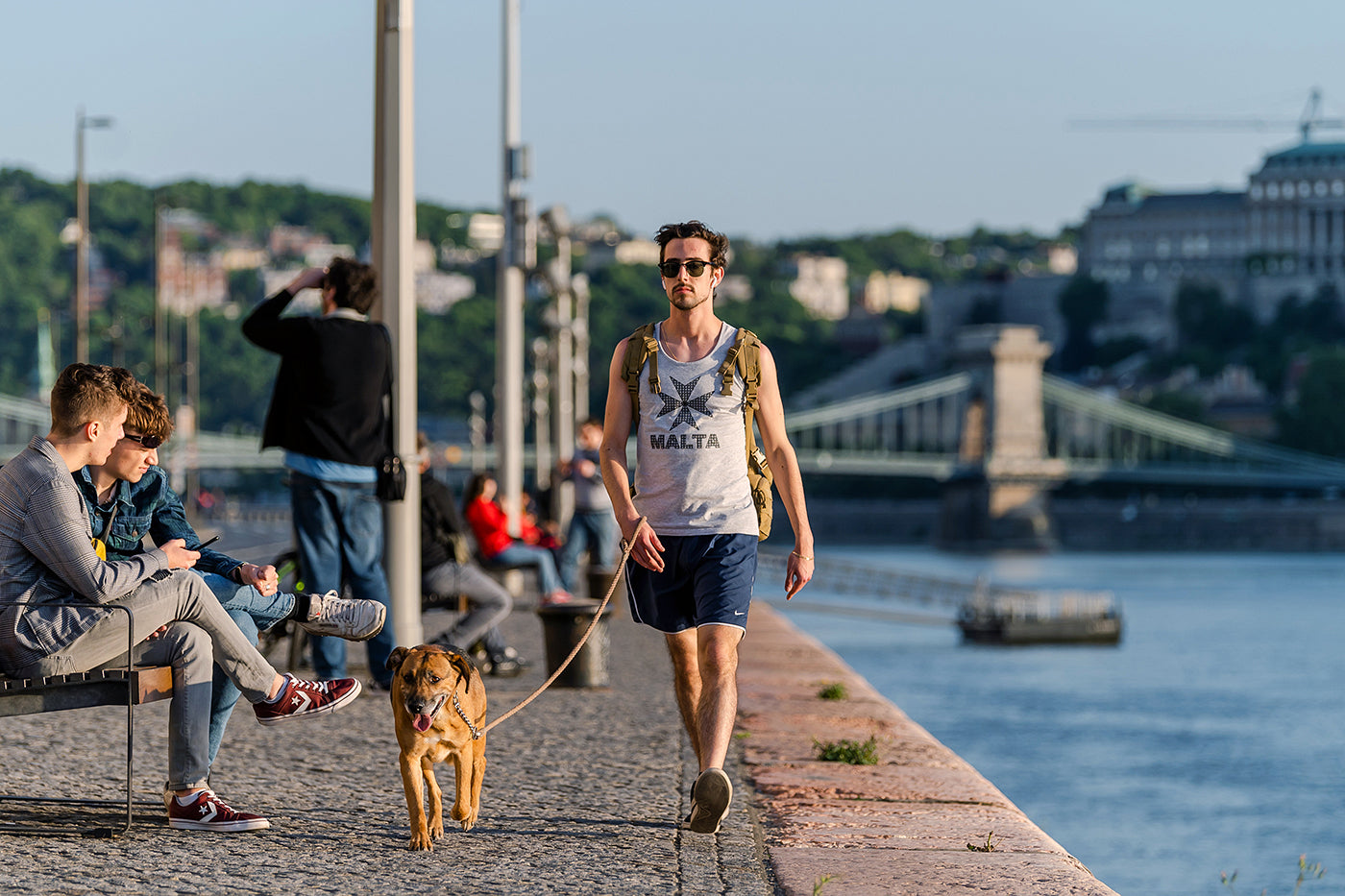 Dog walking on the Danube bank #2841