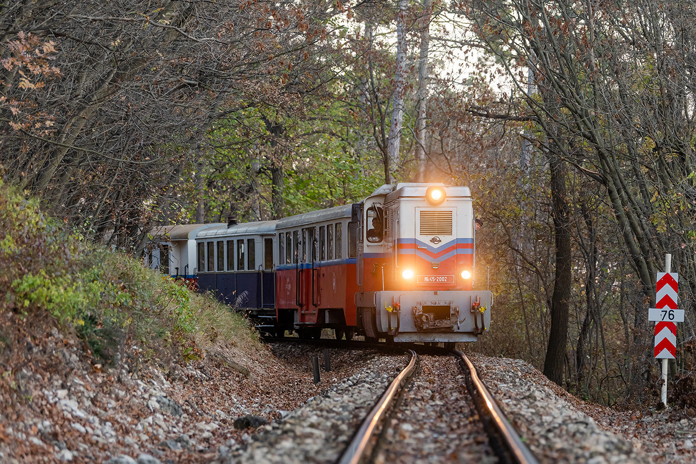 Children's railway in autumn #2908