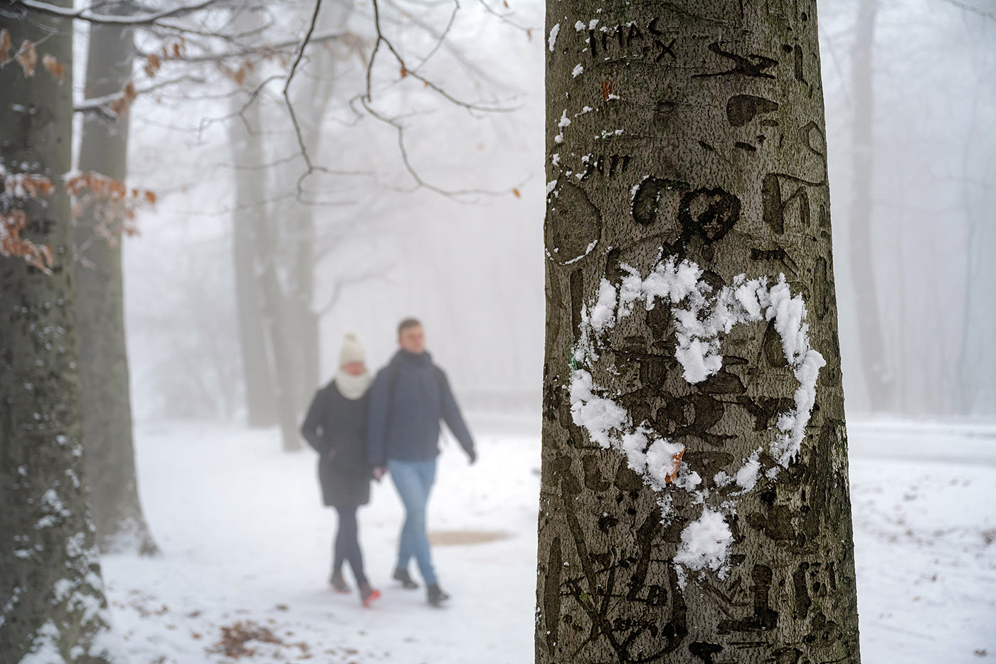 Hikers on the snowy Normafa #3062