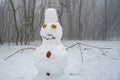 Snowman on Normafa #3063