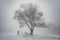 Hikers on the snowy Normafa #3074