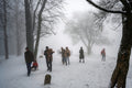 Hikers on the snowy Normafa #3075