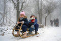 Sledding on Normafa #3076