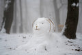 Snowman on Normafa #3078