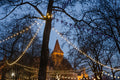 Christmas lights at Vajdahunyad Castle #3135