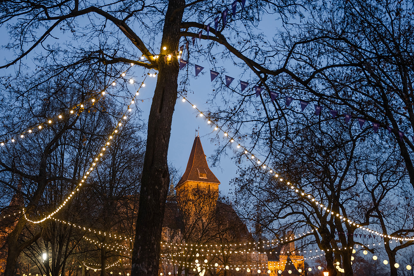 Christmas lights at Vajdahunyad Castle #3135