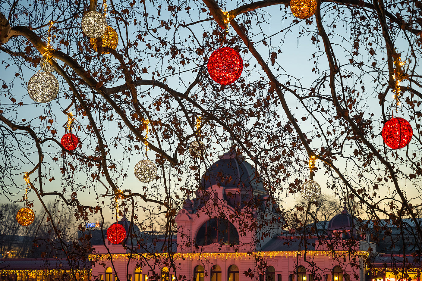 Christmas lights at the Ice Cream Factory #3136