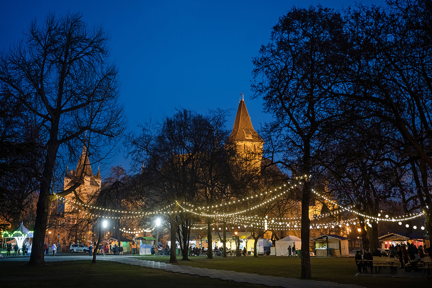 Christmas market in the City Park #3138