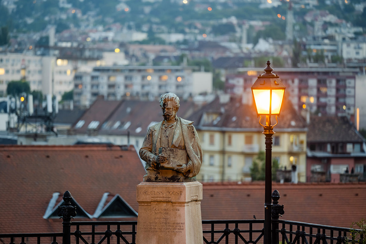 Greguss Ágost szobra a Budai Várban #3171