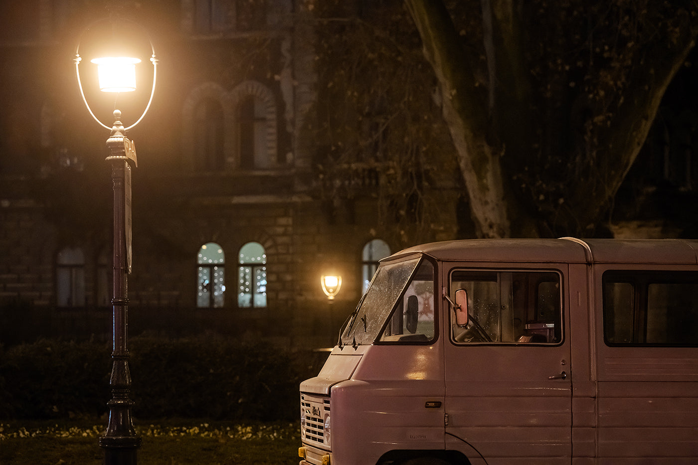 Zuk on the Kodály cart #3239