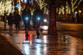 Andrássy Avenue resplendent in Christmas lights after the rain #3249