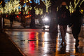 Andrássy Avenue resplendent in Christmas lights after the rain #3252
