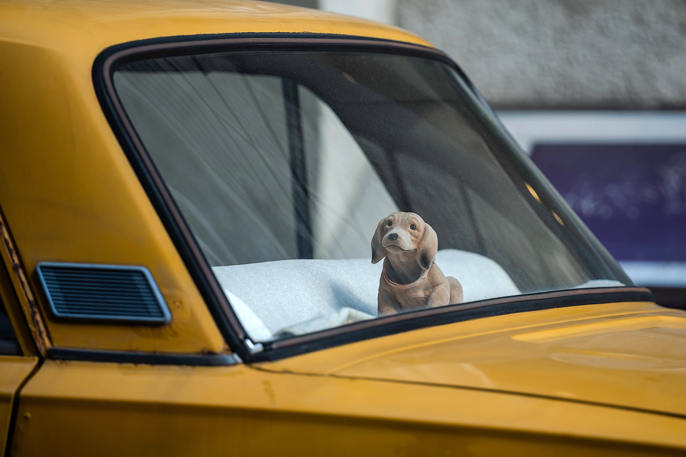 Plush dog in a Lada window #3265