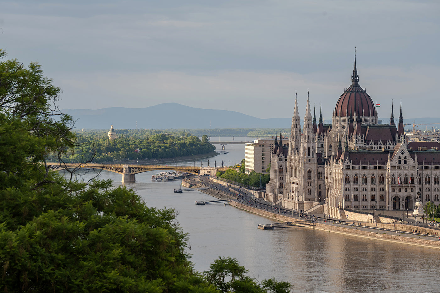 Parliament from Buda Castle #3282