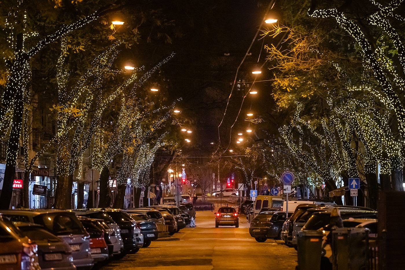 Christmas lights on Bratislava Road #3297
