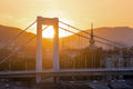 Elizabeth Bridge at sunset #3329