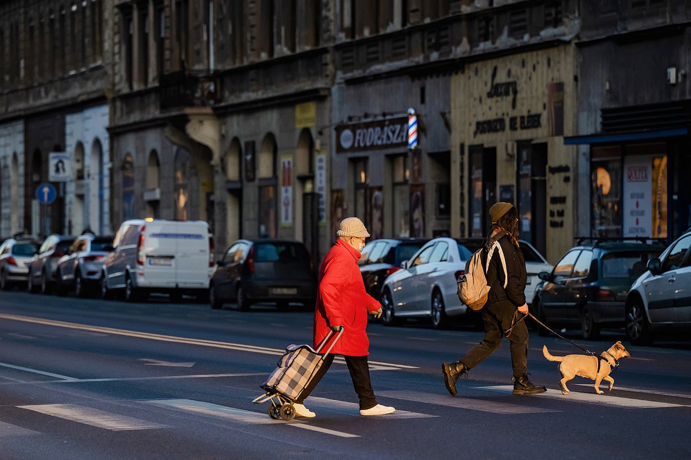 Pedestrians on the Thököly Road zebra crossing #3372
