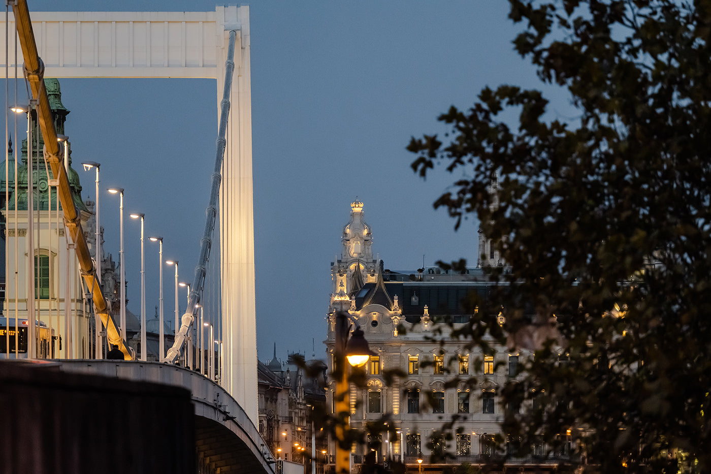 Elizabeth Bridge and Matilda Palace #3392