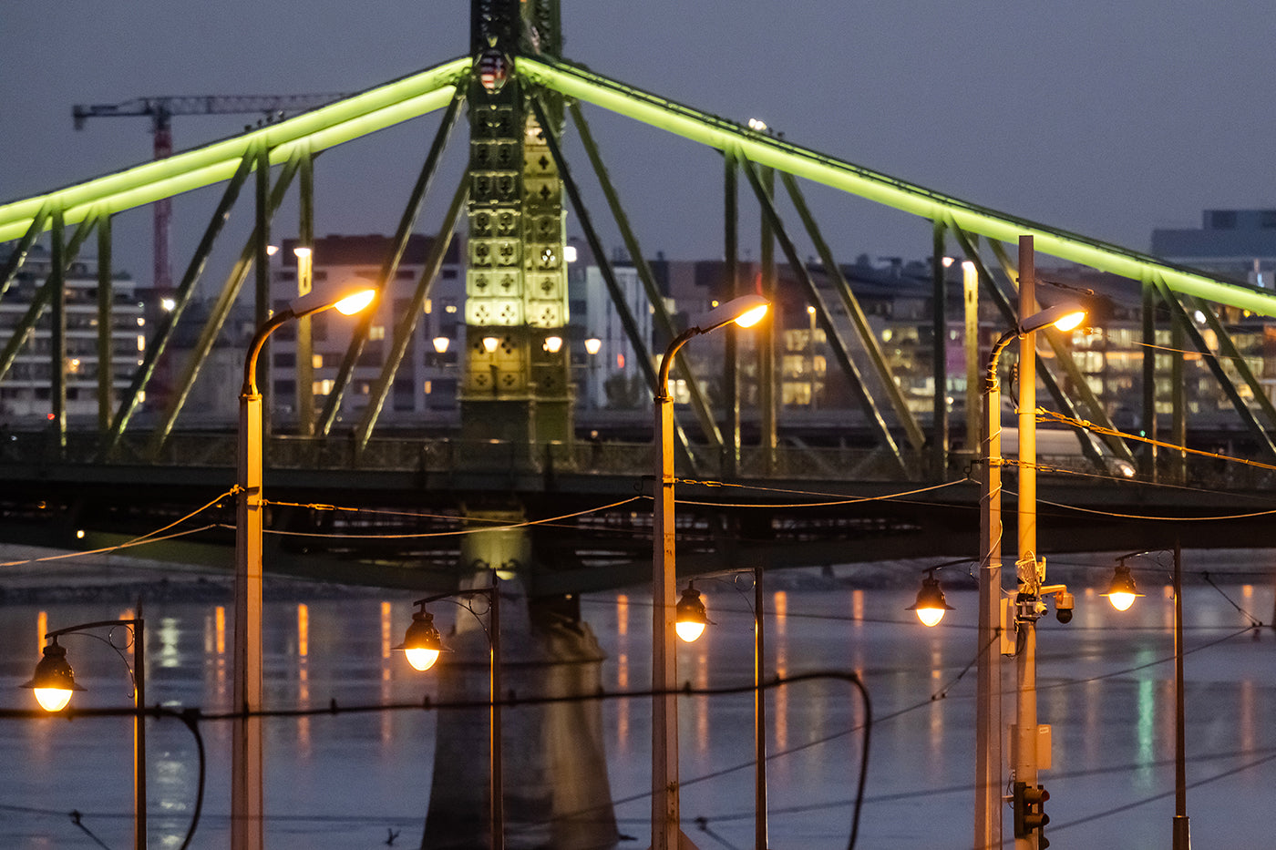 Liberty Bridge at blue hour #3396
