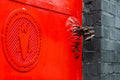 The gate of Miklós Szőke Gábor's studio (detail) #3577