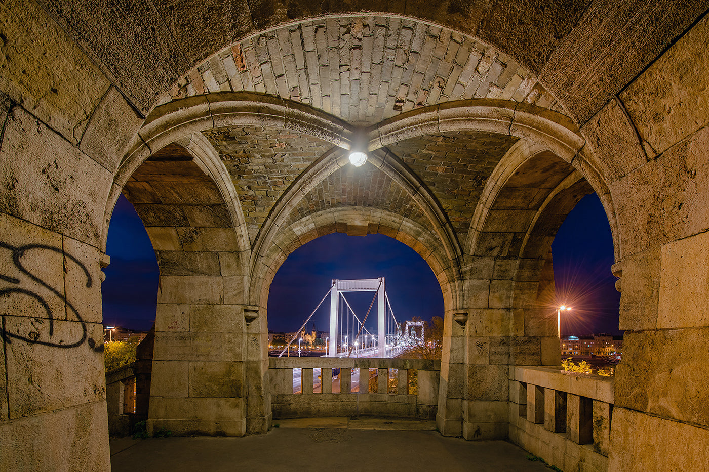 Elizabeth Bridge from Gellért Hill #3597