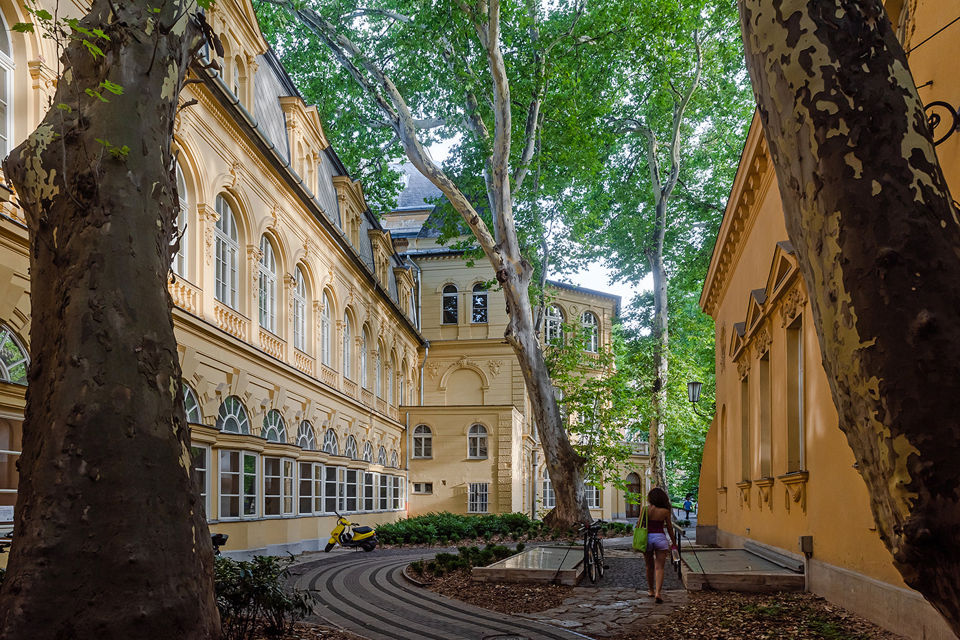 Lukács Bath Building #3763