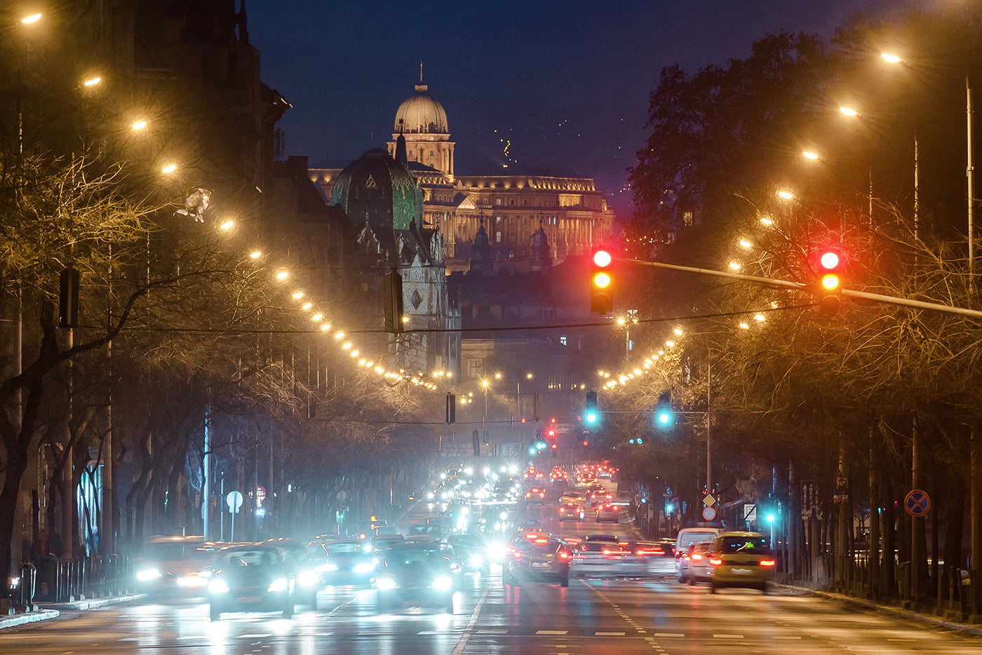 Buda Castle from Üllői Road #3838