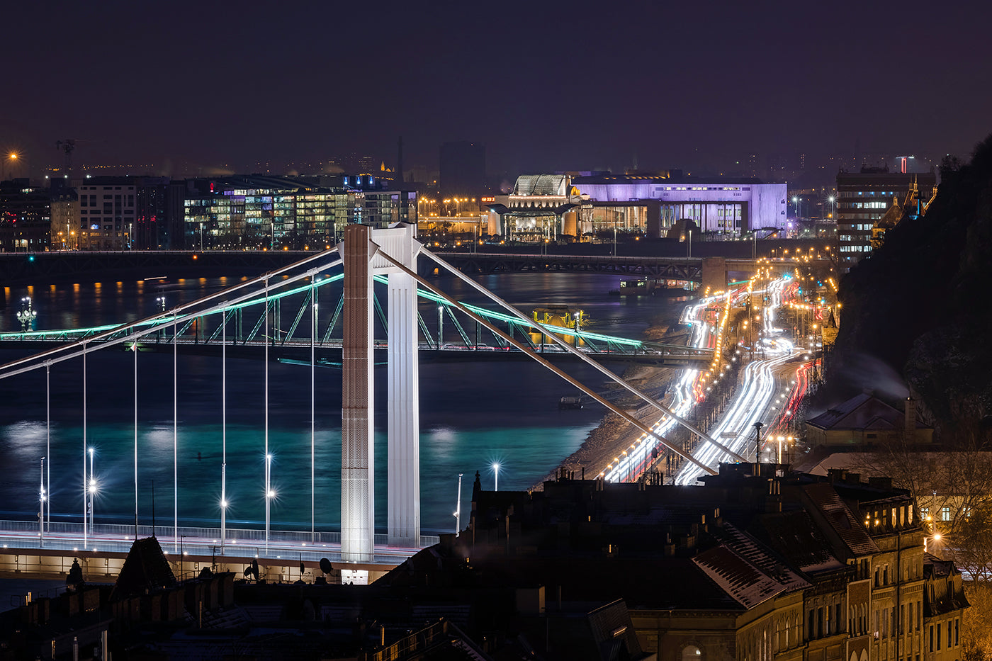 The Elizabeth Bridge and the Danube from Buda Castle #3856