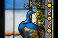 Miksa Róth Memorial Museum Collection #3884