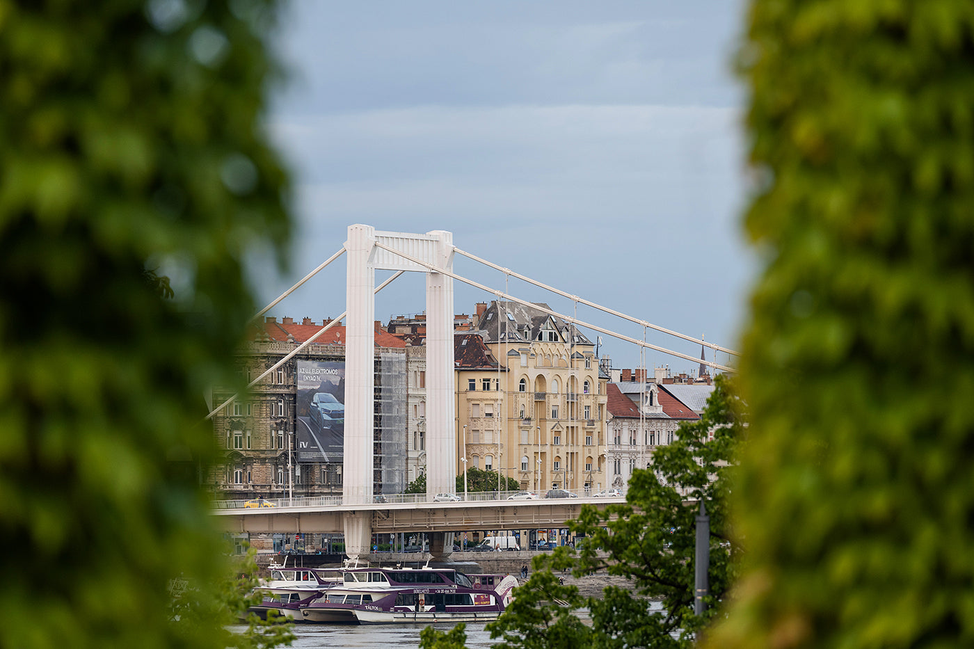 Elizabeth Bridge from the Castle Garden Bazaar #4260