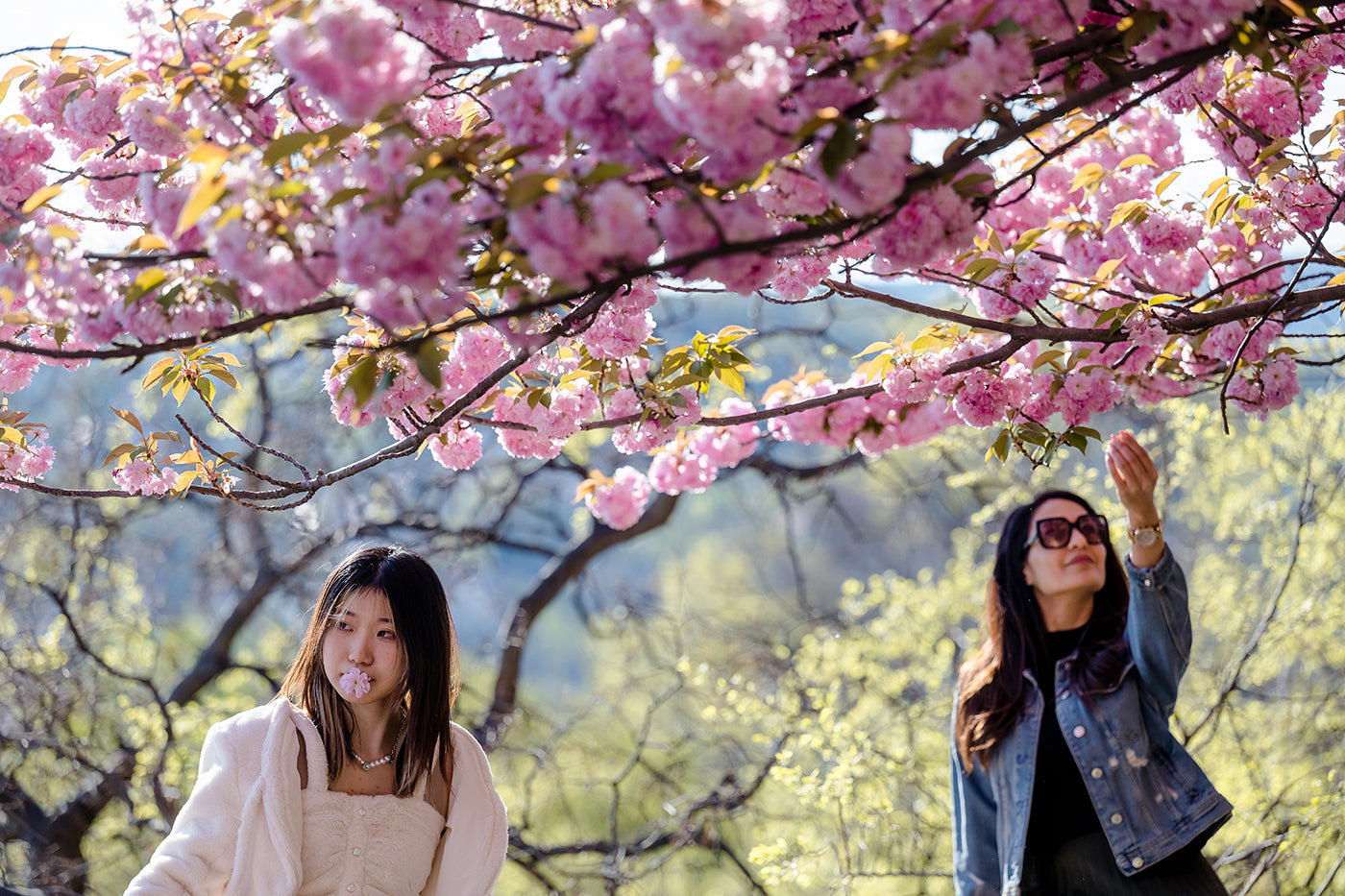 Life on the Árpád Tóth Promenade #4281