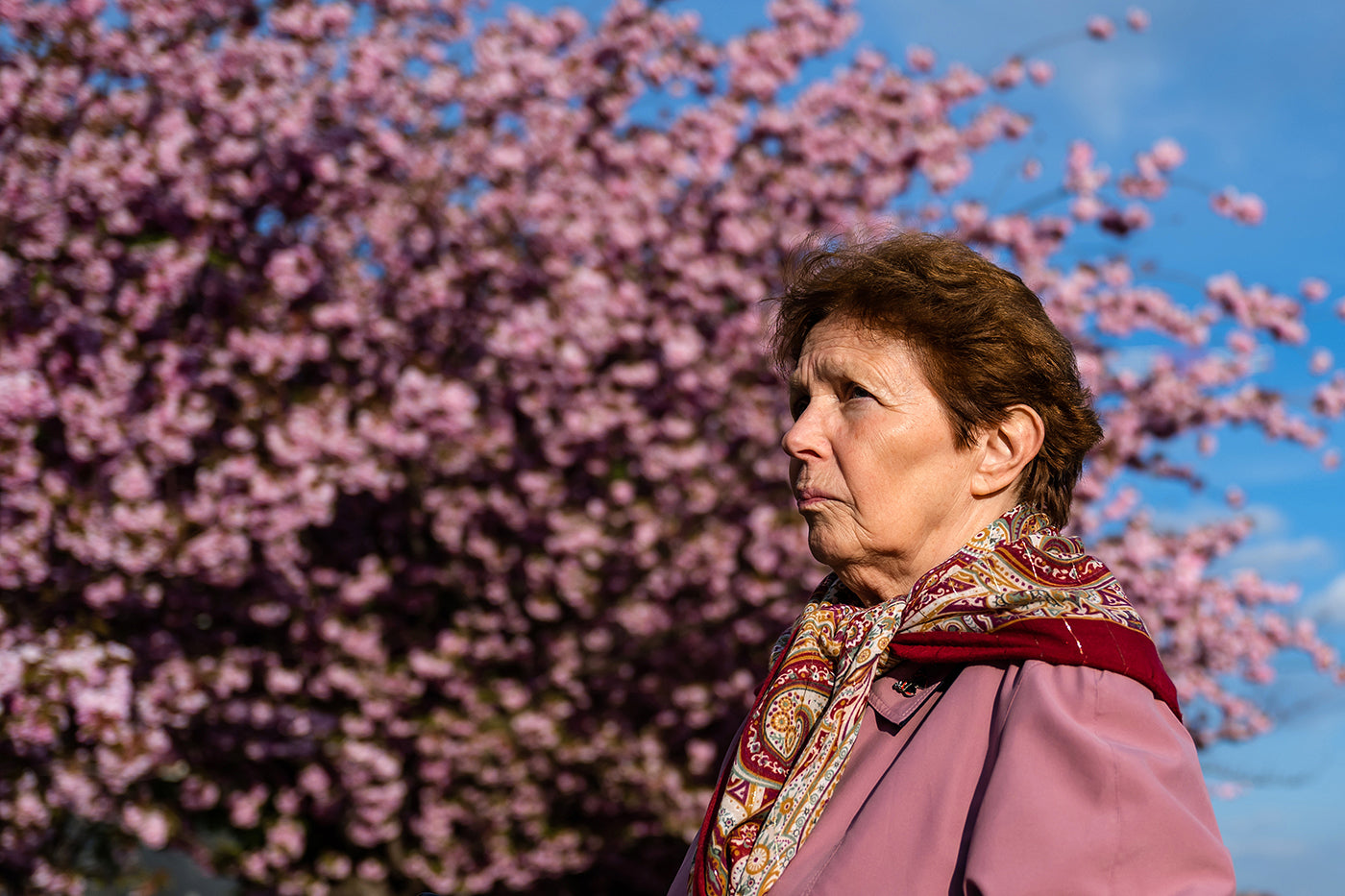 Life on the Árpád Tóth Promenade #4320