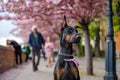 Dog on the Tóth Árpád promenade #4324