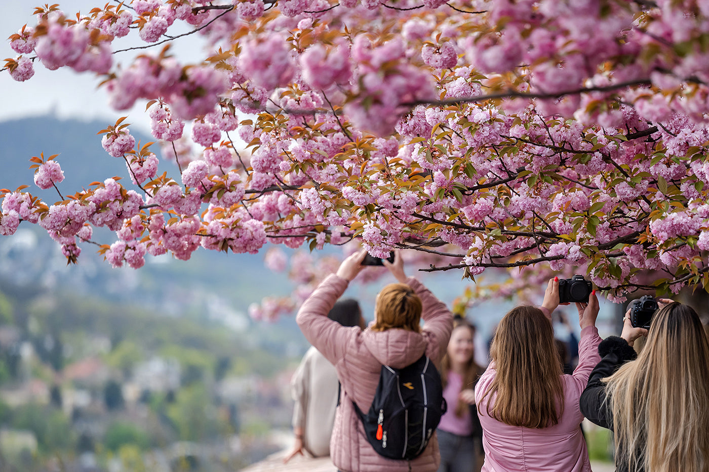 People taking photos on the Tóth Árpád promenade #4326
