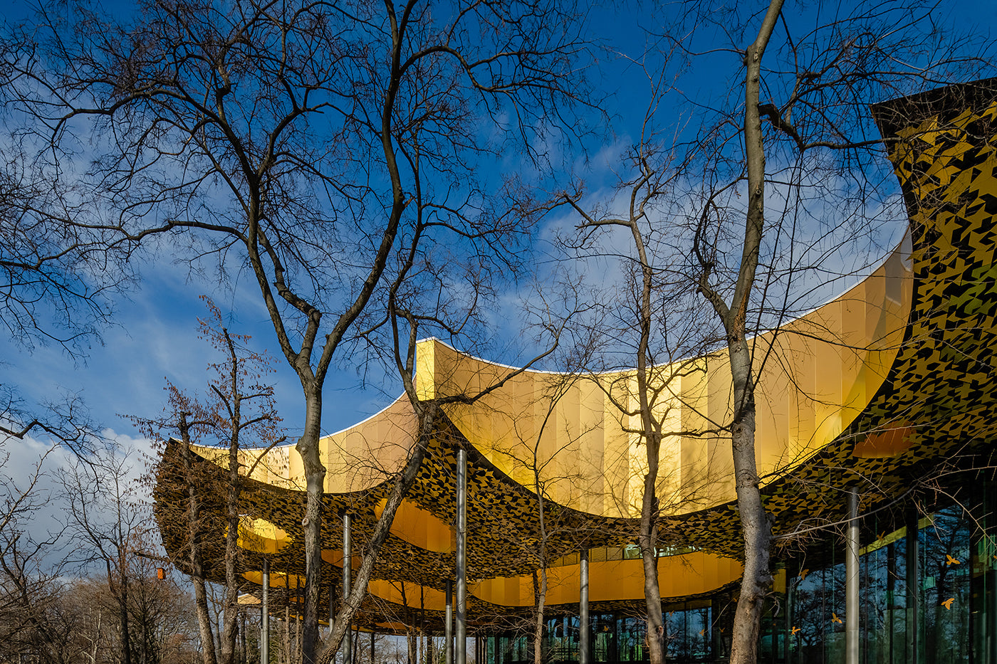 Hungarian Music House from the outside #4444