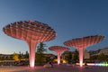Millenary Park at night #4609