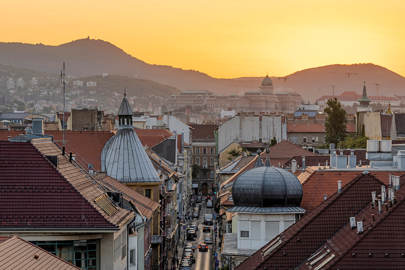 Buda Castle from the top of Dean's College #4705