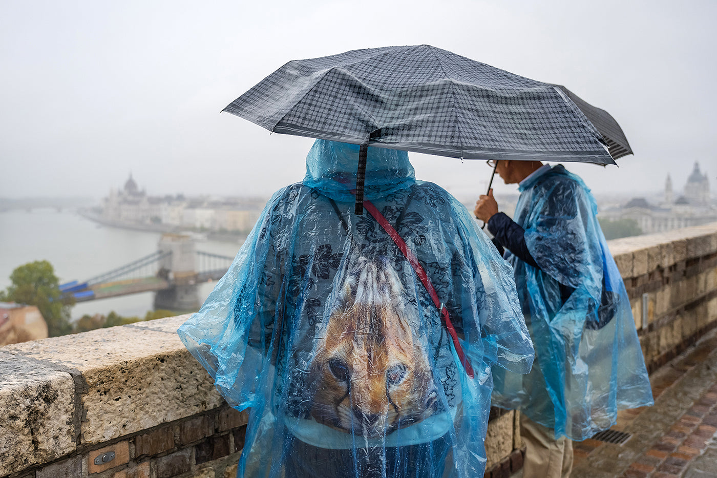 Cat backpack in the Castle in the Rain #4727