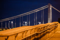 Elizabeth Bridge at night #4750
