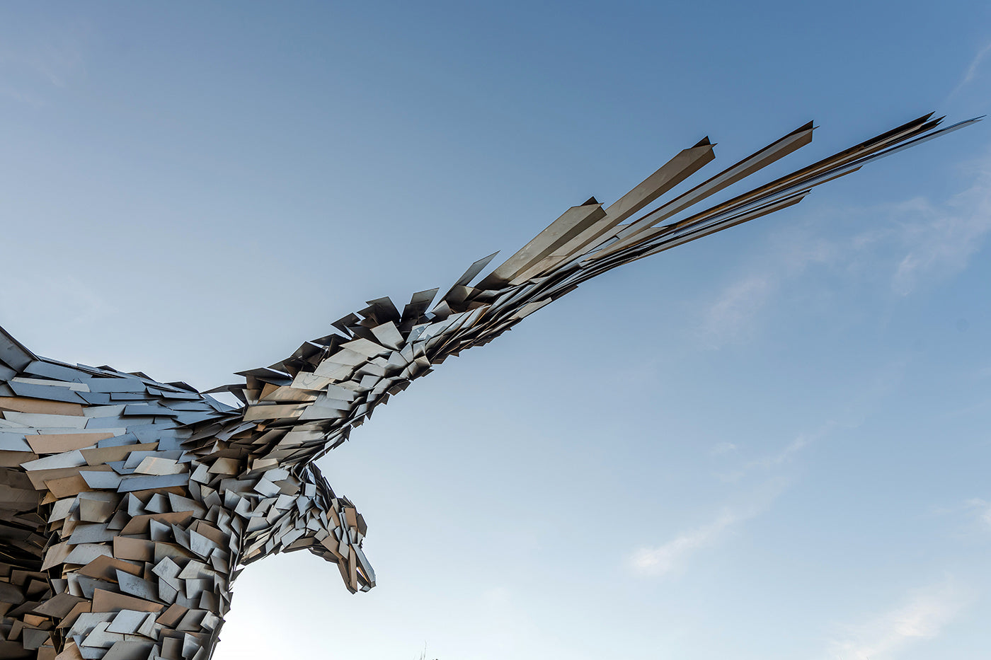 Fred Eagle #4792