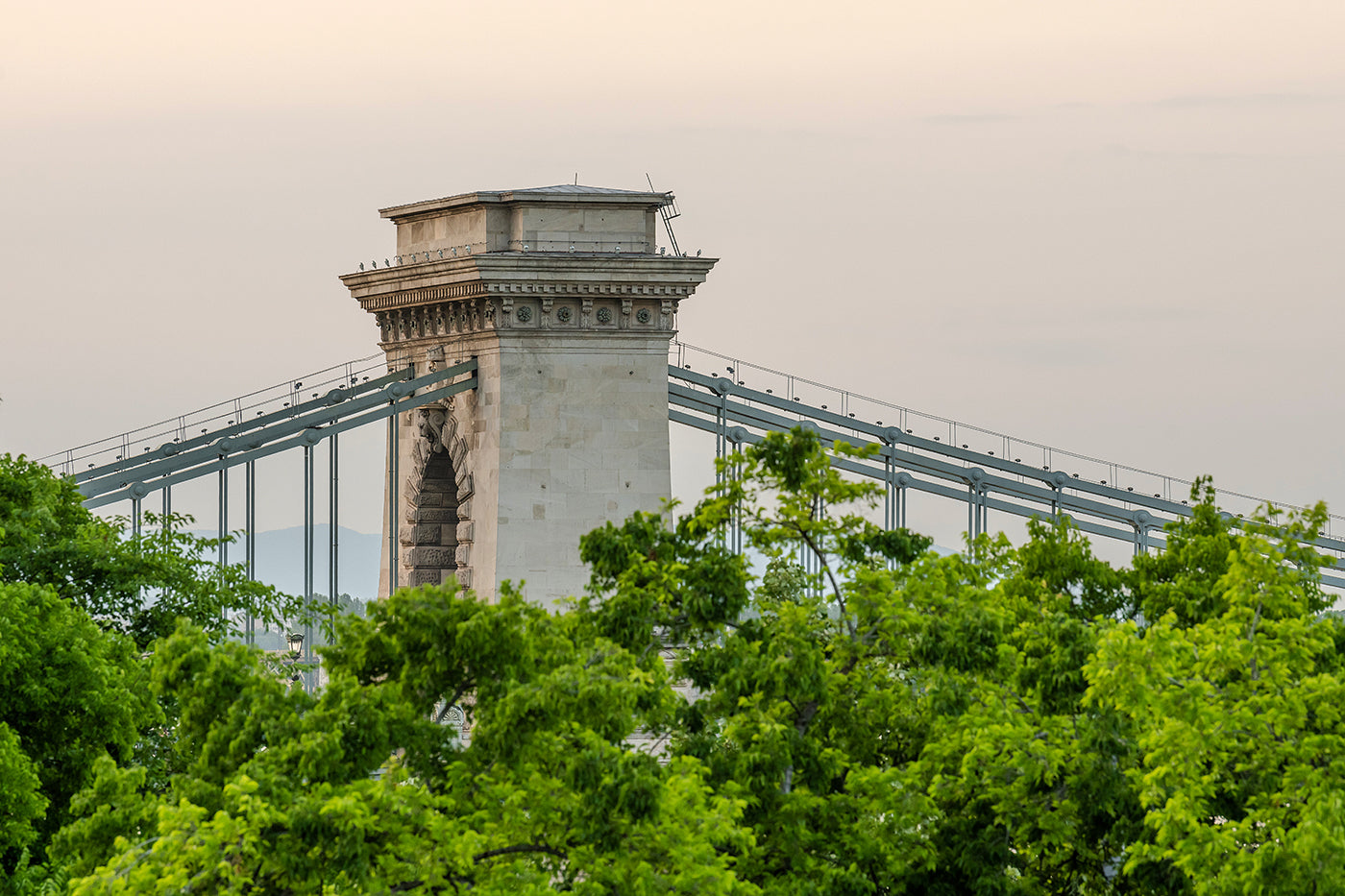 Chain Bridge in summer #4810
