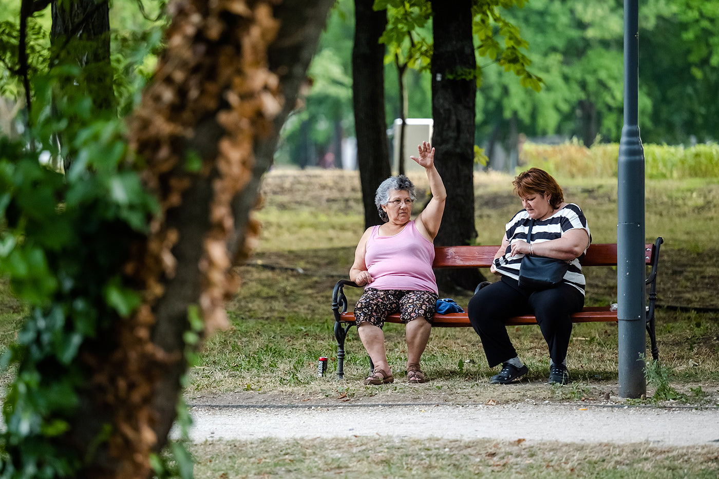 Snapshot in the Orczy Garden #4840