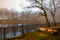 Foggy autumn in the Orczy garden #5185