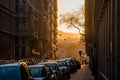 Downtown street scene at sunset #5187
