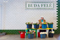 Florist at the Buda side of Margaret Bridge #5244