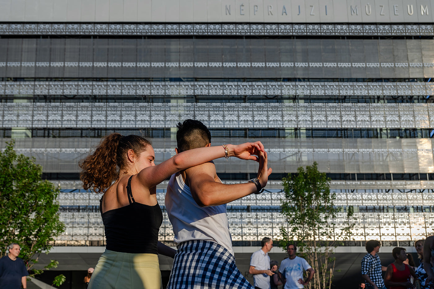 Dance House at the Ethnographic Museum #5313