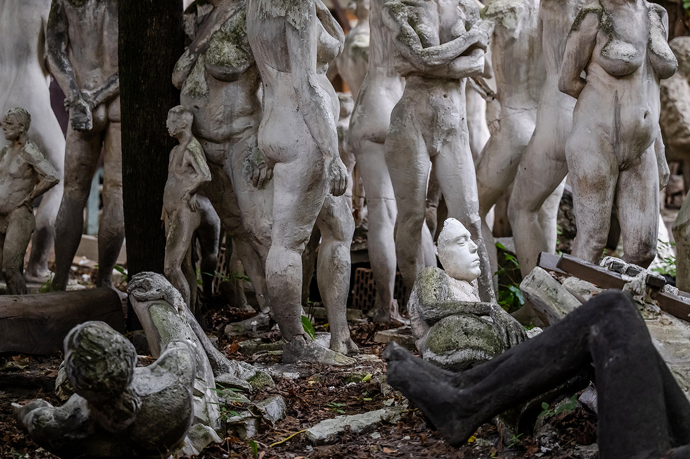 Statues in the Strawberry Garden #5334