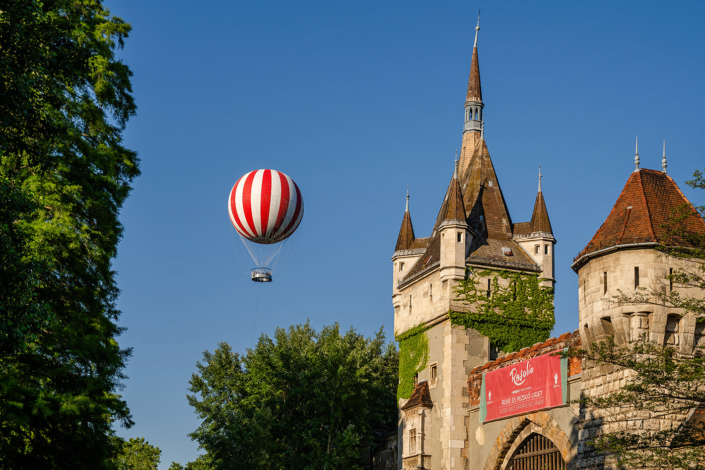 Hot air balloon at Vajdahunyad Castle #5346