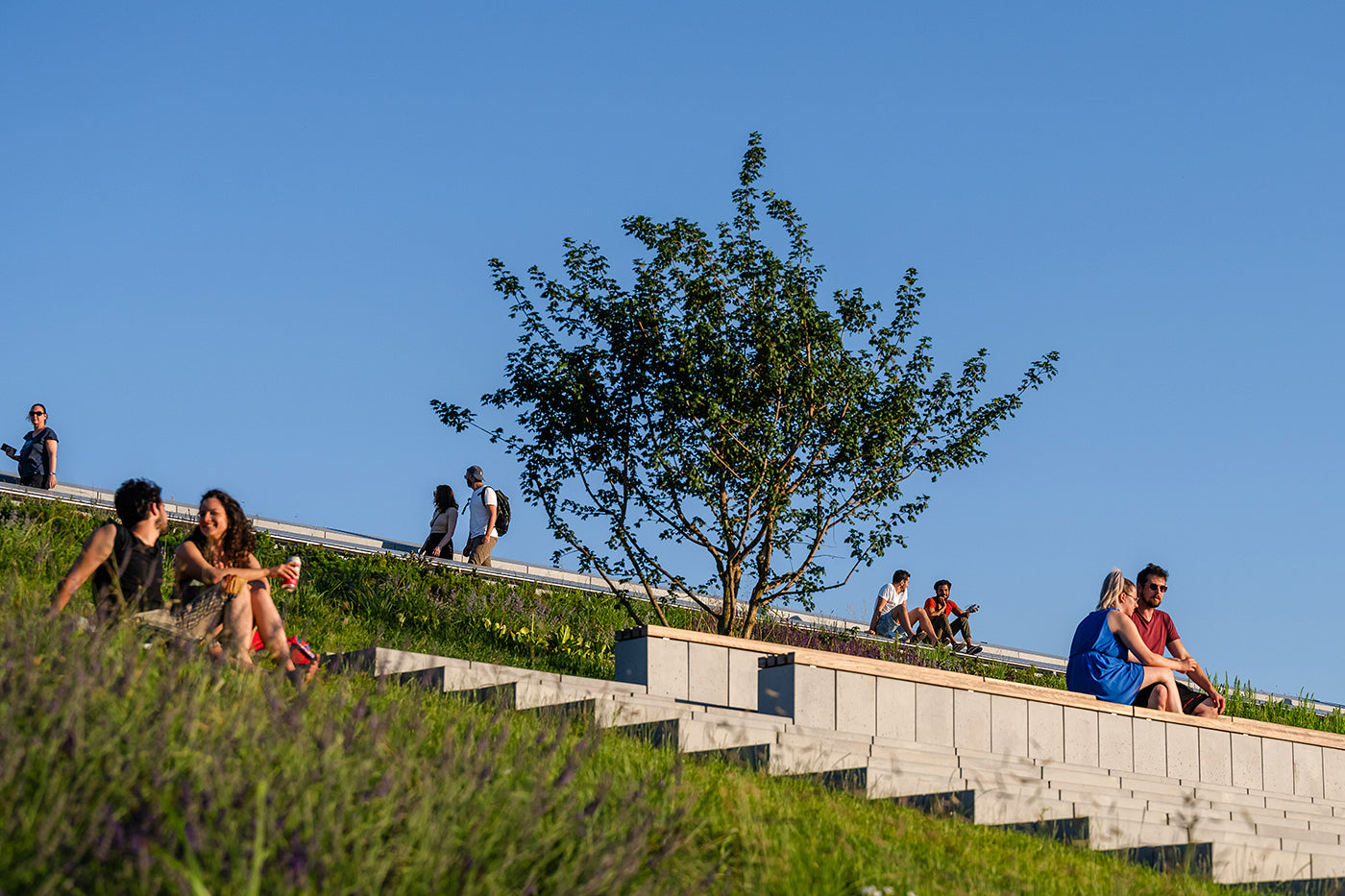 Életkép a Néprajzi Múzeumnál #5357