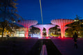 Millenary Park at night #5393